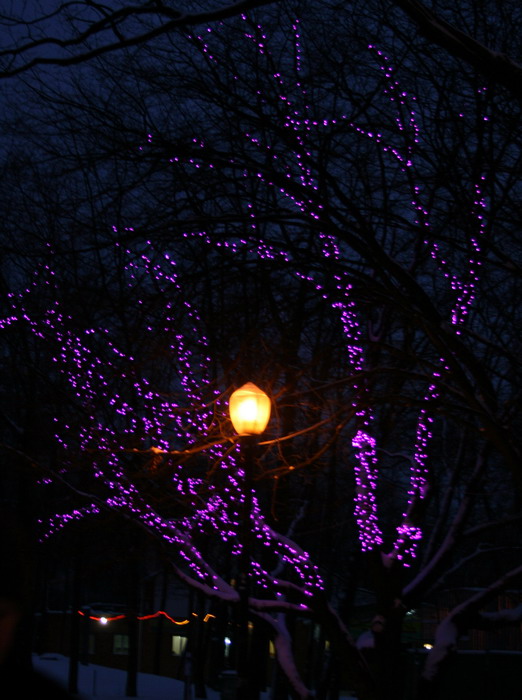 20081228_2077-1.jpg
