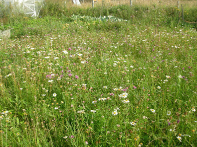 2008 068-500.jpg