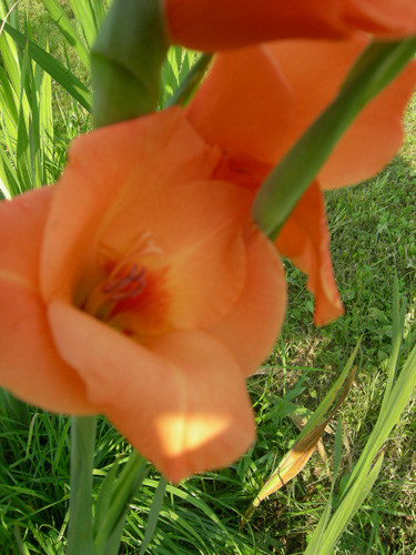 2008 102-500.jpg