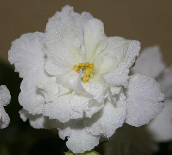 20100107_6398_2.jpg