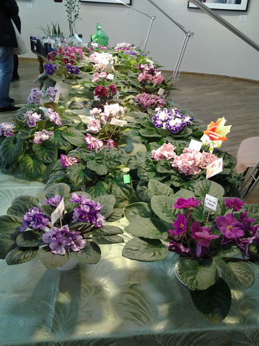 20141101_135858.jpg