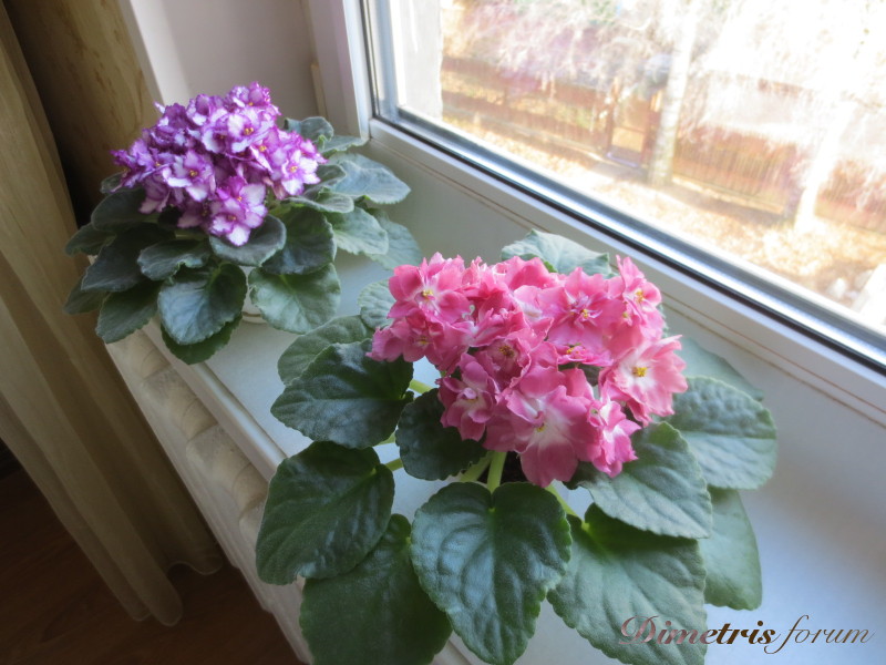 2014-11-20 09-37-38.JPG