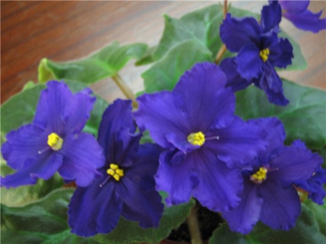 71930a54cb09.jpg