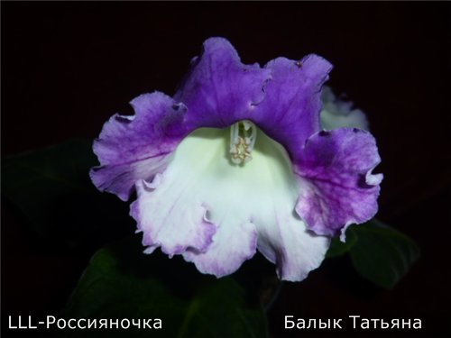 76a2b795b239.jpg