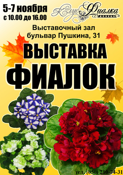 7777-копия.jpg