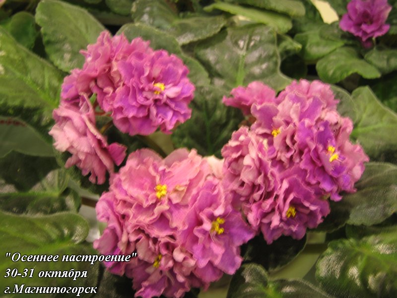 7a45dd498854.jpg