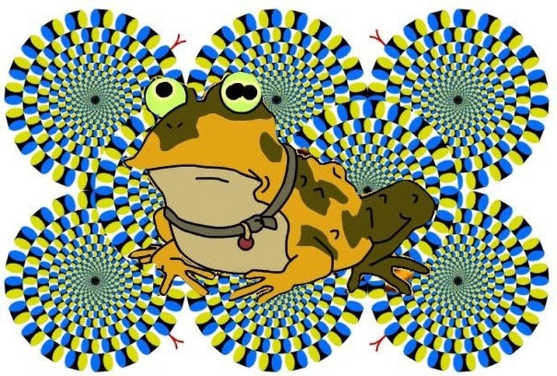 8e28e17761f4.jpg