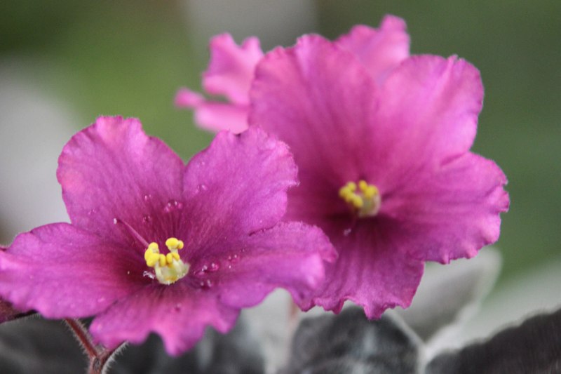 каталог 1501.jpg