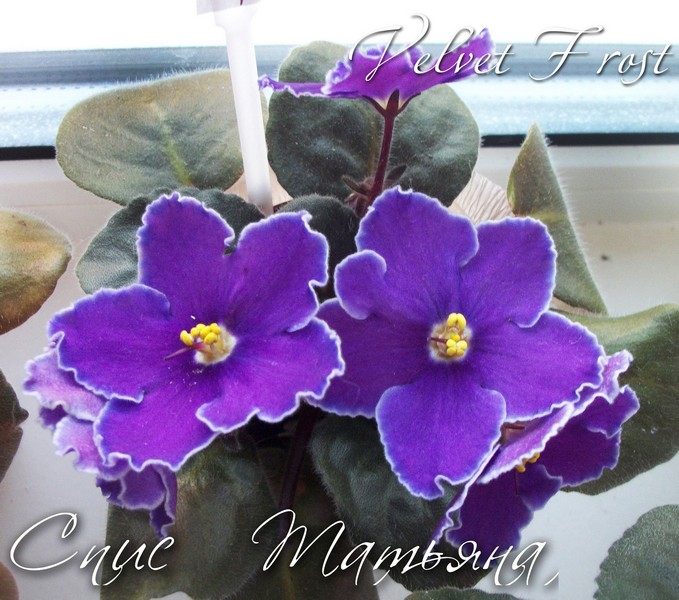 Без и555мени-2.jpg