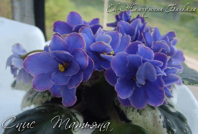 Без и8888мени-1.jpg