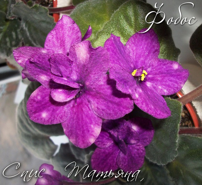 Без и999мени-2.jpg