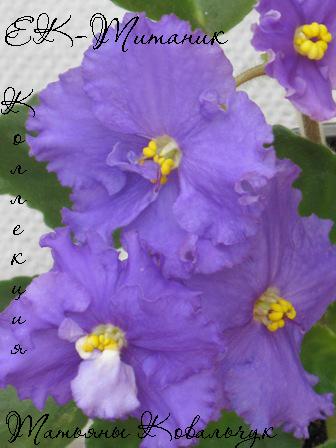 -Титаник 1.jpg