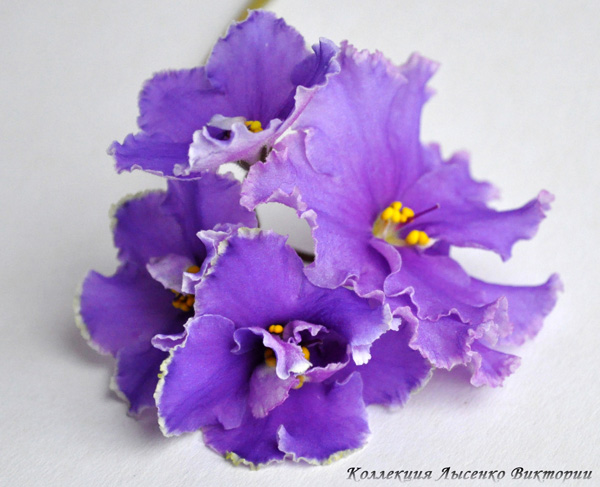 ЛЕ-Голубые Омуты.22222.JPG