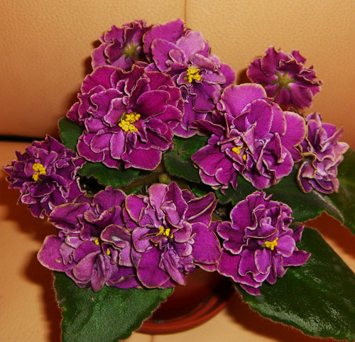 магия любви (2).JPG