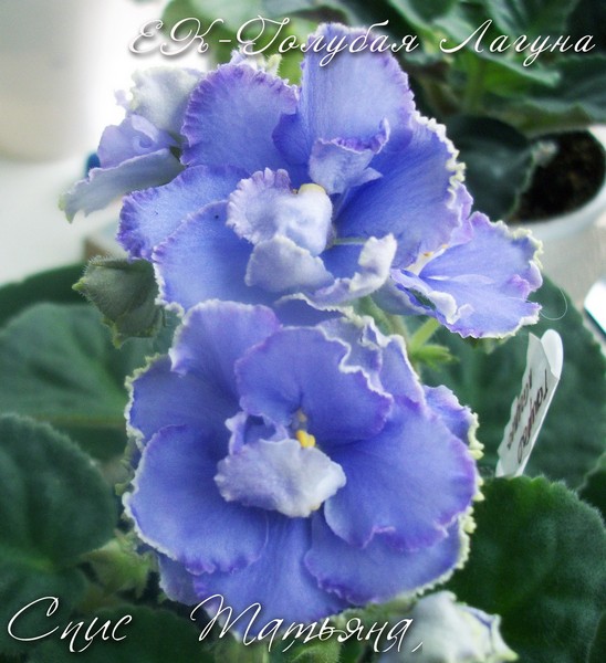 Без имени-3.jpg