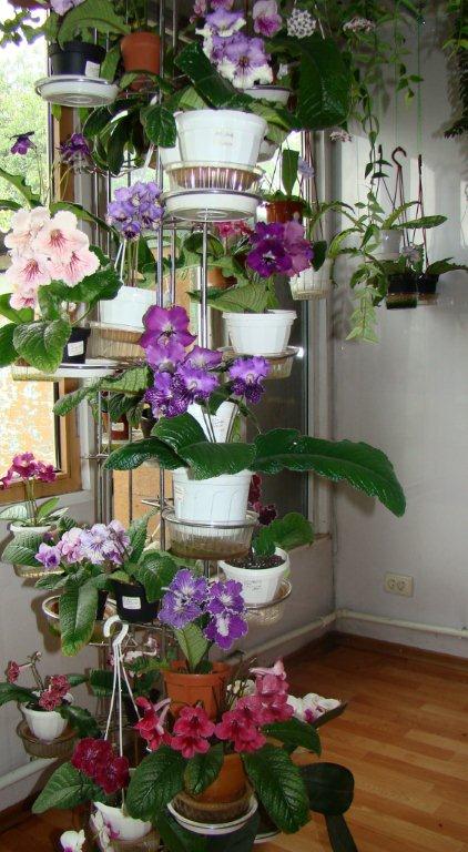 Моя стойка - копия (2).jpg