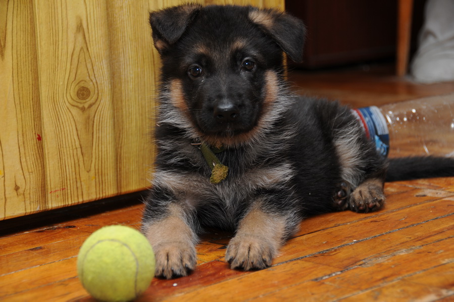 Аэто он такой был маленький.JPG