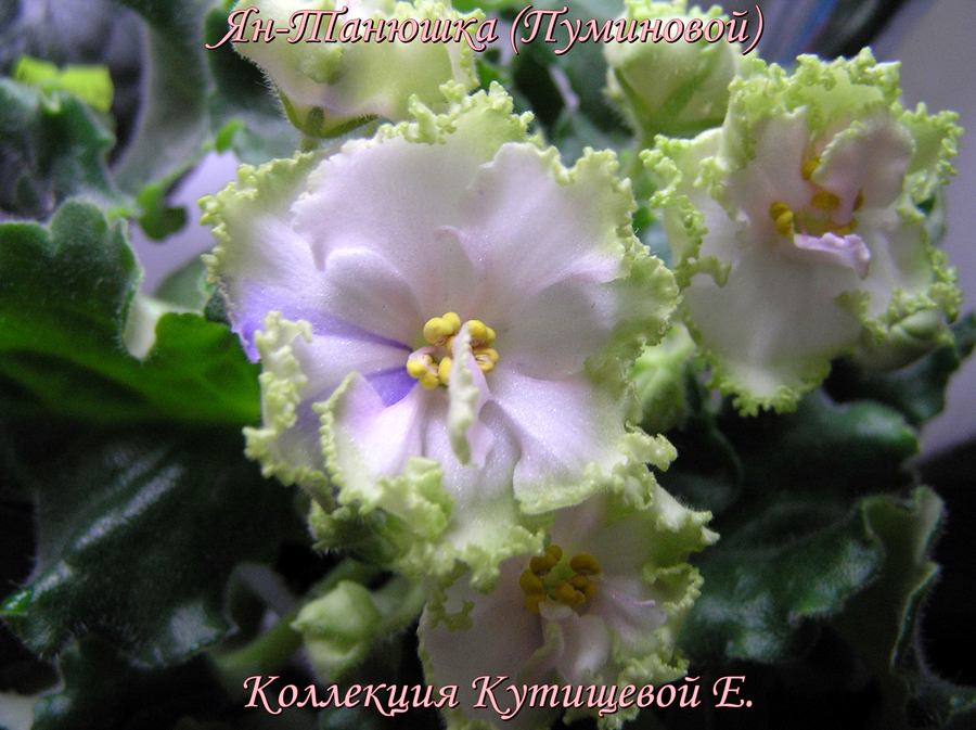 -Танюшка (Пуминовой) уменьш.JPG
