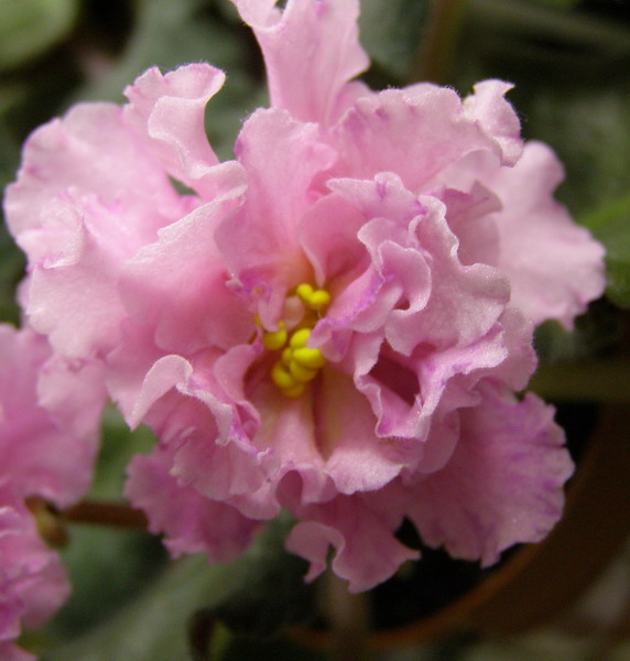 -Сонечная Девочка - спорт.jpg