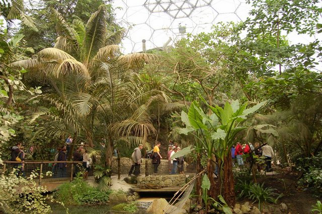 -оранжерея Eden Project в корнволе4 [640x480].jpg