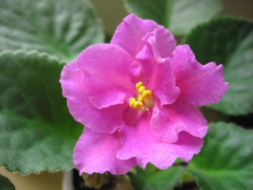 -Радуга любви_6564.jpg