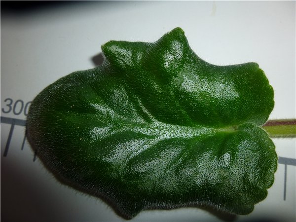 bf04b8086918.jpg