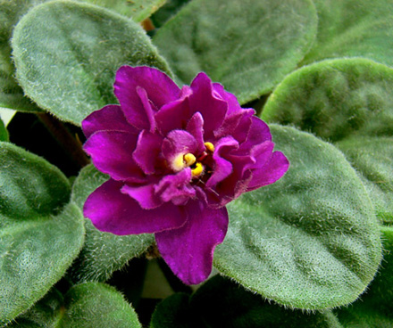 Copy of 2009.06.23 029.jpg
