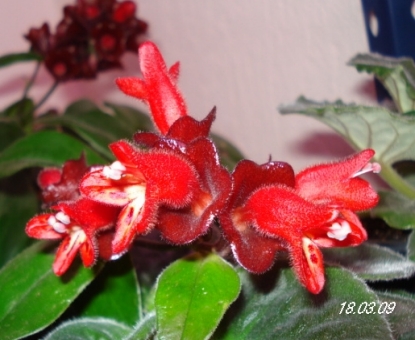 DSC02201.jpg