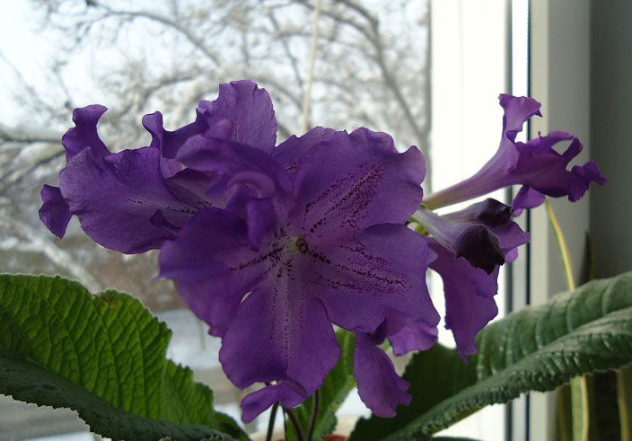 DSC09914.JPG