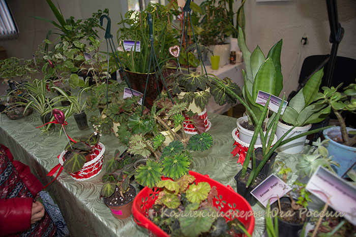 DSC_6347.jpg