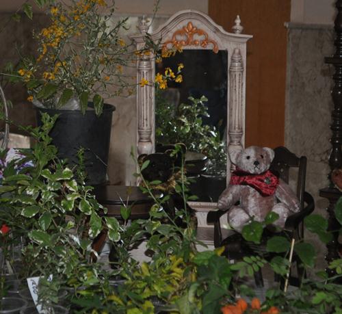 DSC_7067.JPG