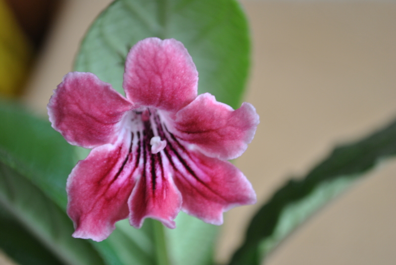 DSC_8353.JPG