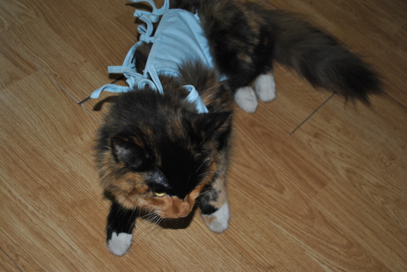 DSC_9316.JPG