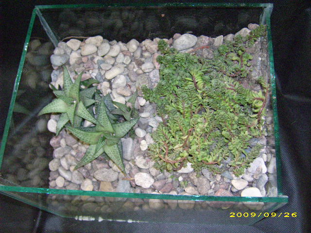 DSCI0724.JPG
