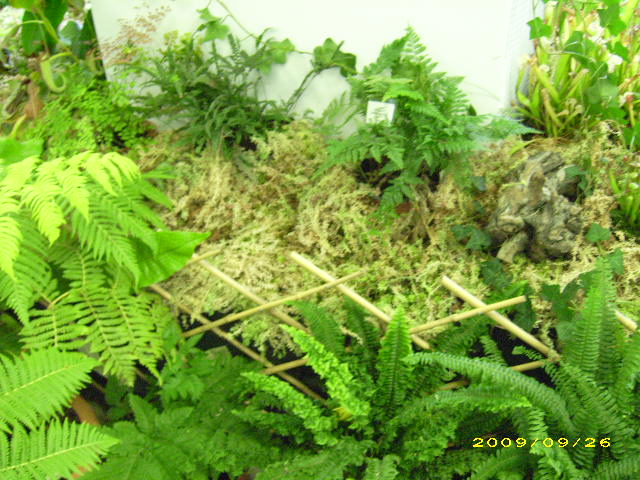 DSCI0729.JPG