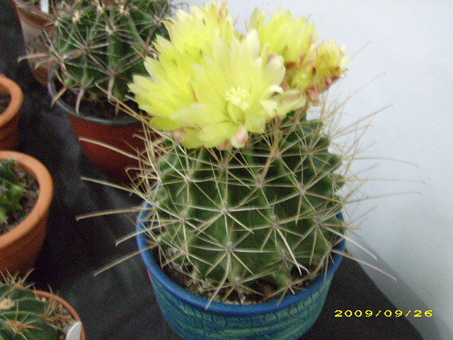 DSCI0737.JPG