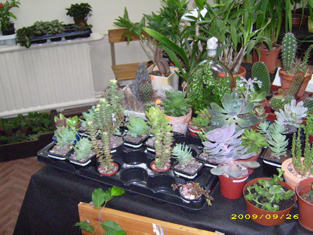 DSCI0744.JPG