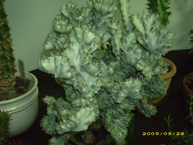 DSCI0749.JPG