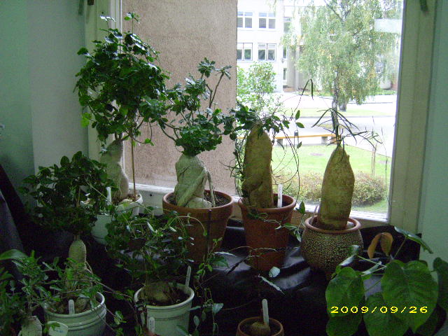 DSCI0755.JPG