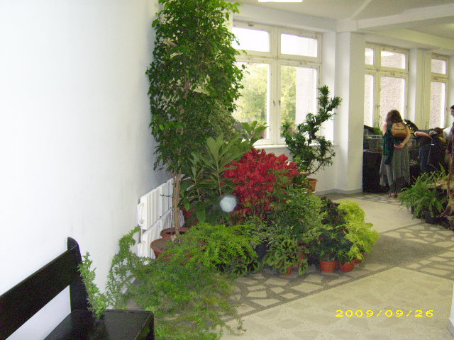 DSCI0758.JPG