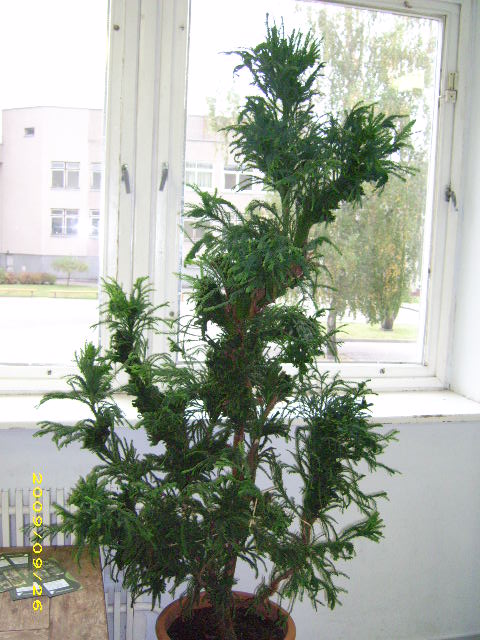 DSCI0759.JPG