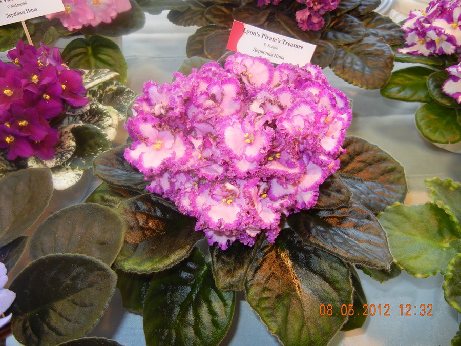 DSCN1175 (Копировать).JPG