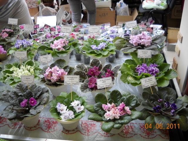 DSCN1469м.jpg