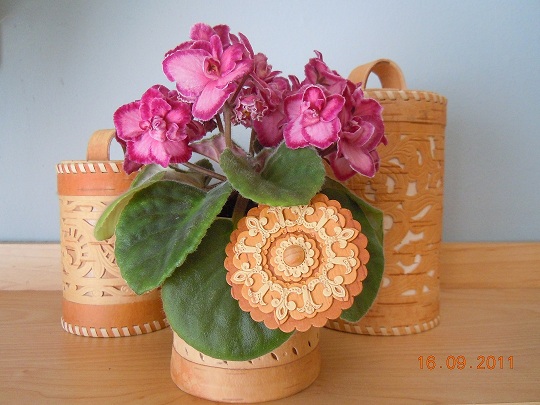 DSCN1597.JPG