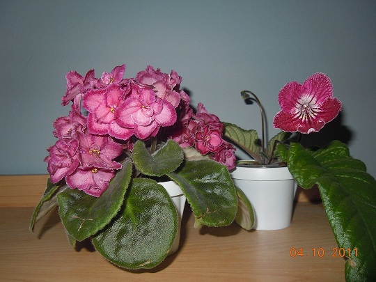 DSCN1973.JPG
