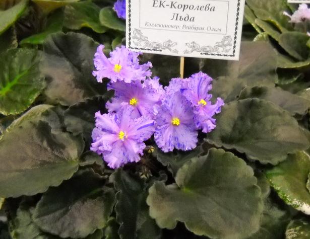 DSCN2045.jpg