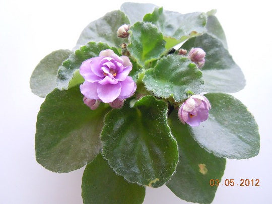 DSCN3160.JPG