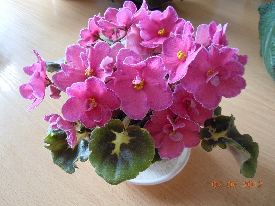 DSCN3170.JPG
