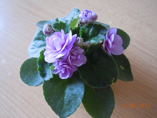 DSCN3227.JPG