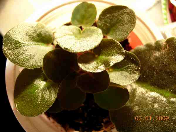DSCN32820007.JPG